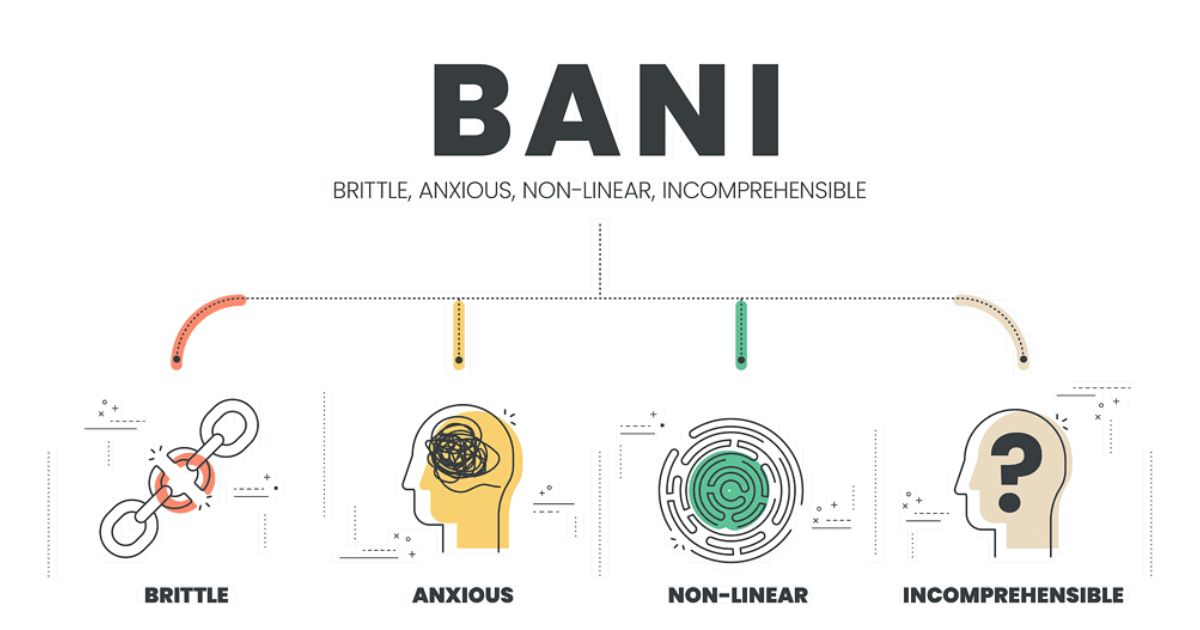 Bani là viết tắt của Brittle (dễ gãy), Anxious (lo âu), Nonlinear (phi tuyến), Incomprehensible (khó hiểu)
